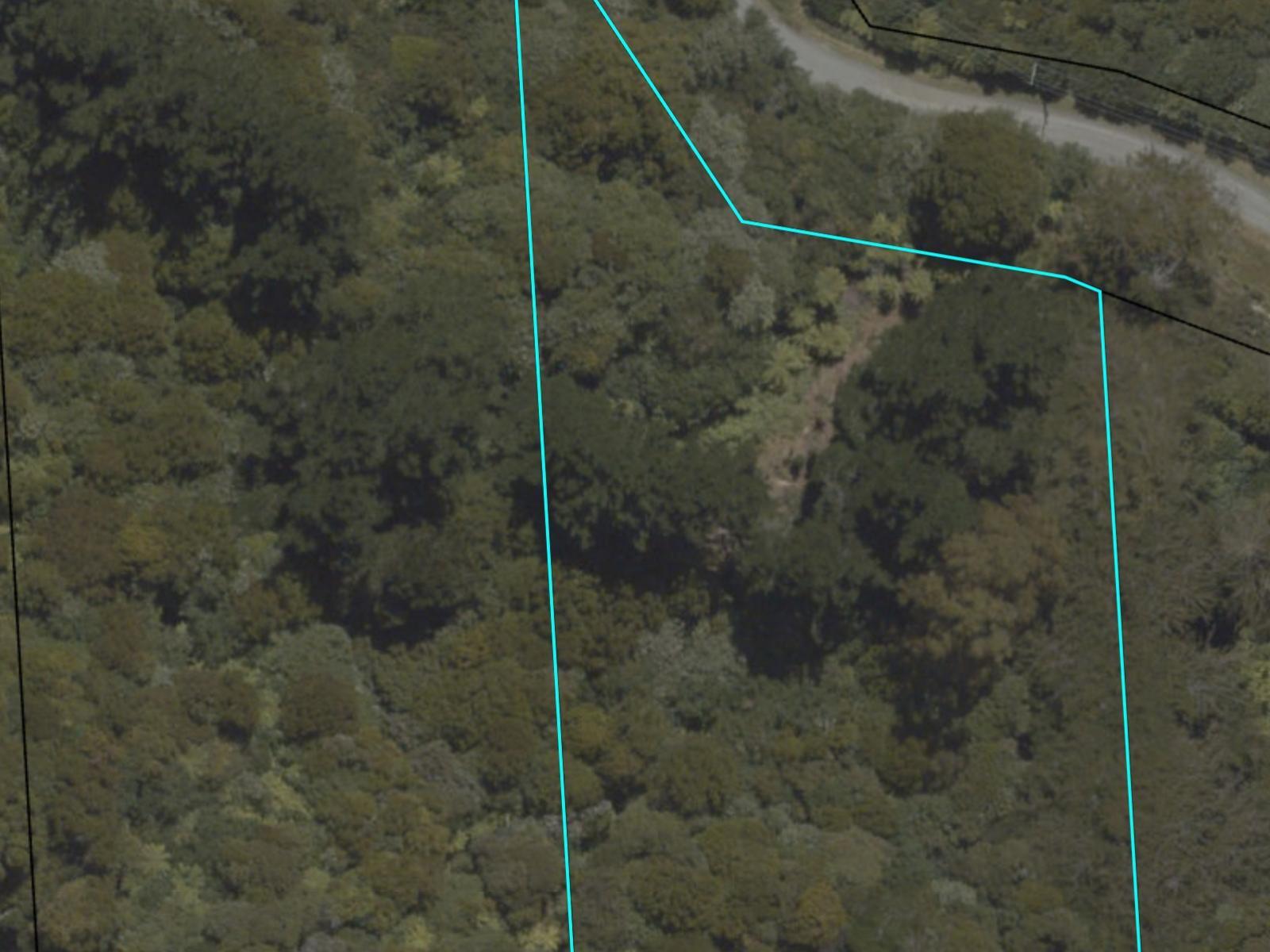 Aerial view showing the boundary of the bush section at 111 Main Road