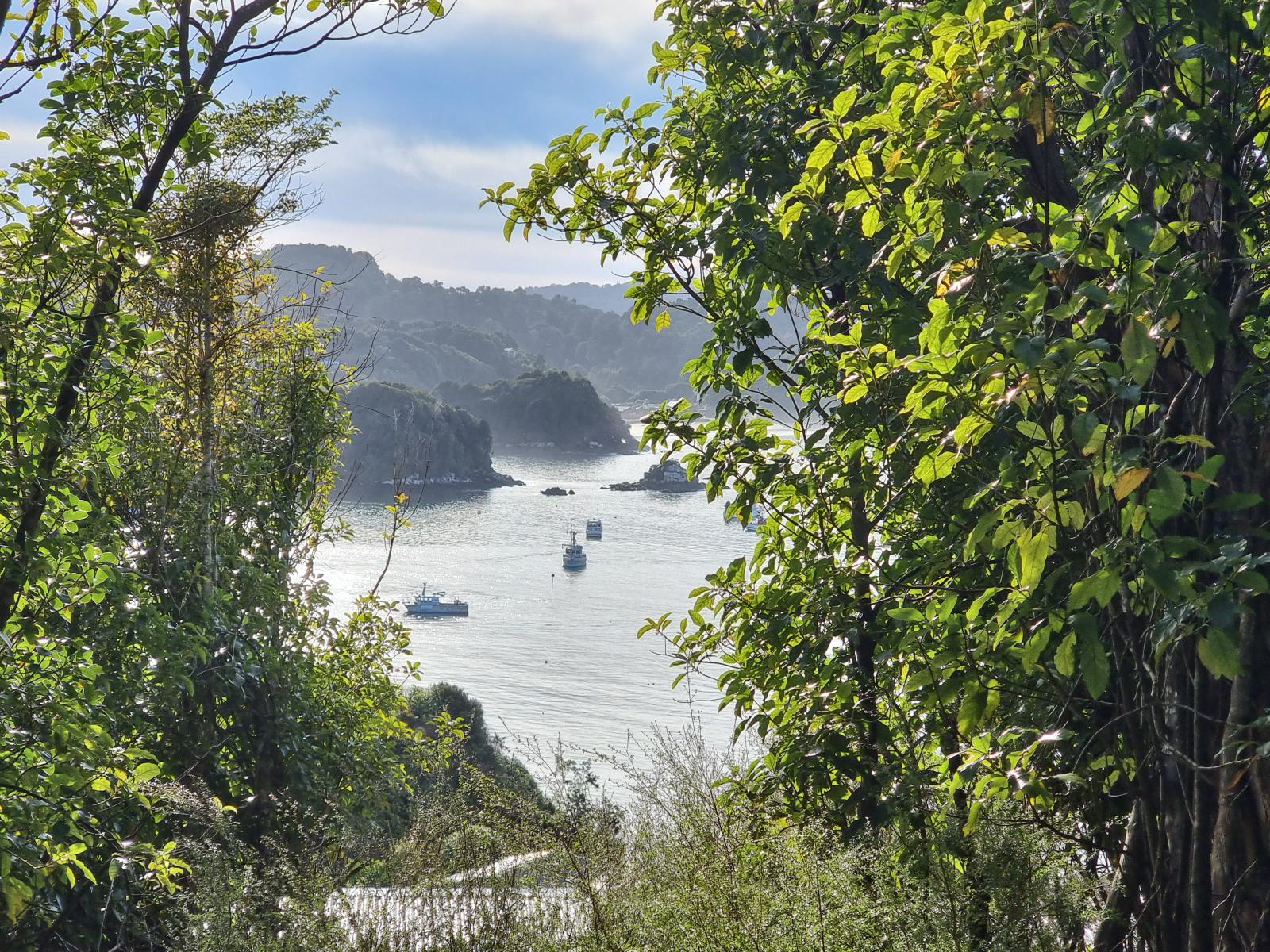 Halfmoon Bay glimpsed through native bush at 20 Kaka Ridge Road