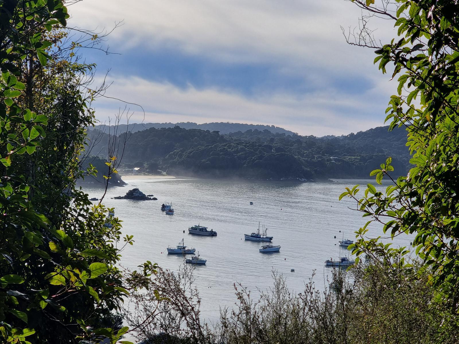 Sea views over Halfmoon Bay and moored boats from 20 Kaka Ridge Road, Stewart Island