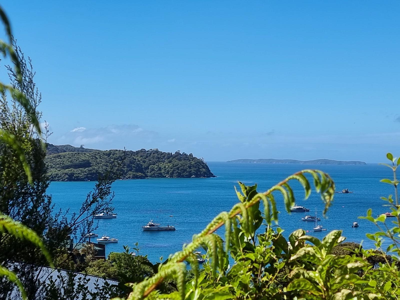 Blue-water views from the 2.28 hectare block for sale at 20 Kaka Ridge Road