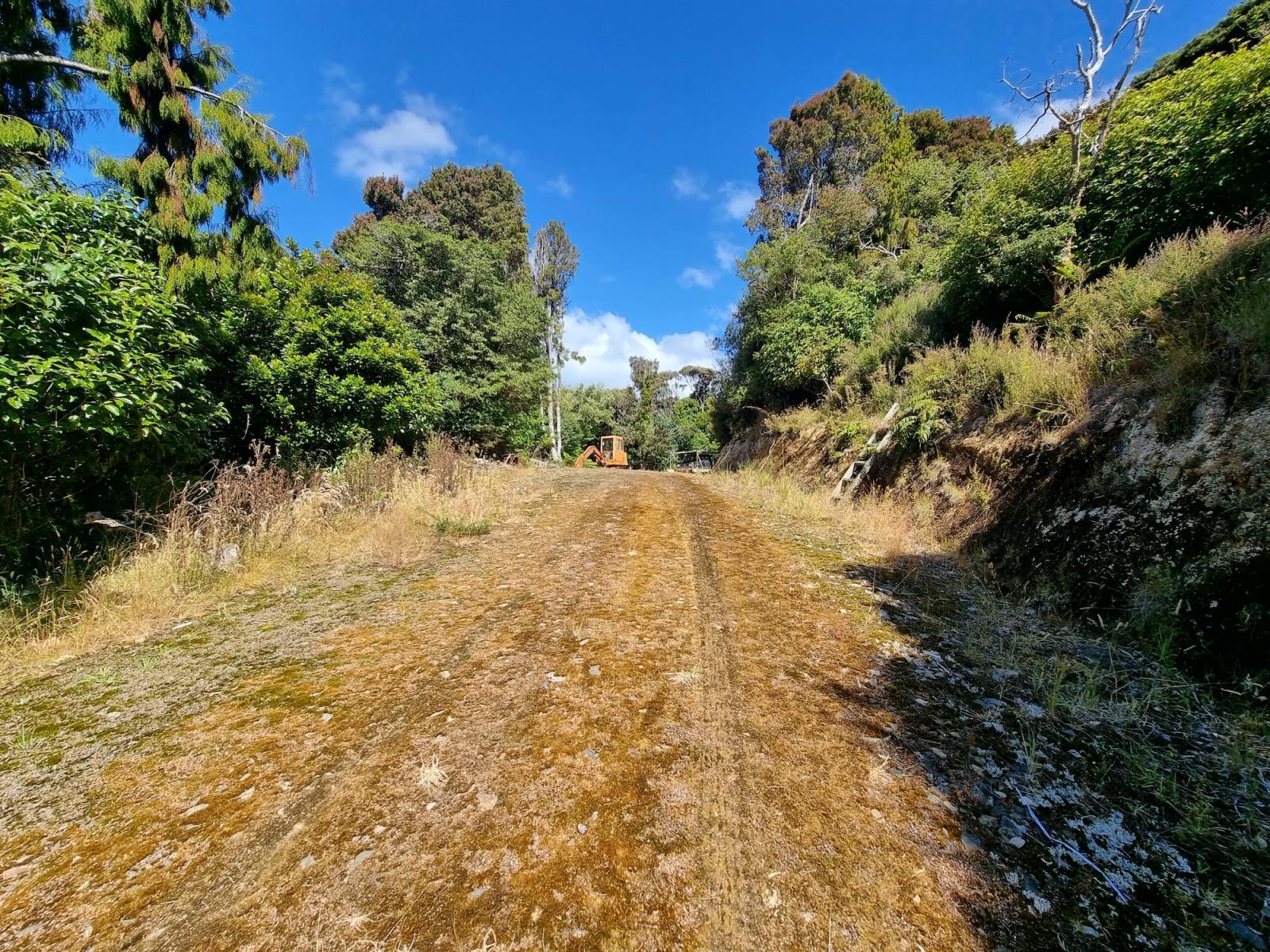 Track leading to building sites on the 20 Kaka Ridge Road block