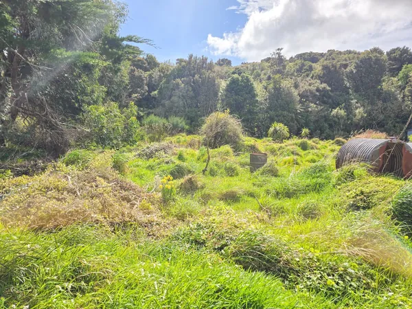 22 and 24 Main Road, Stewart Island - photo 2