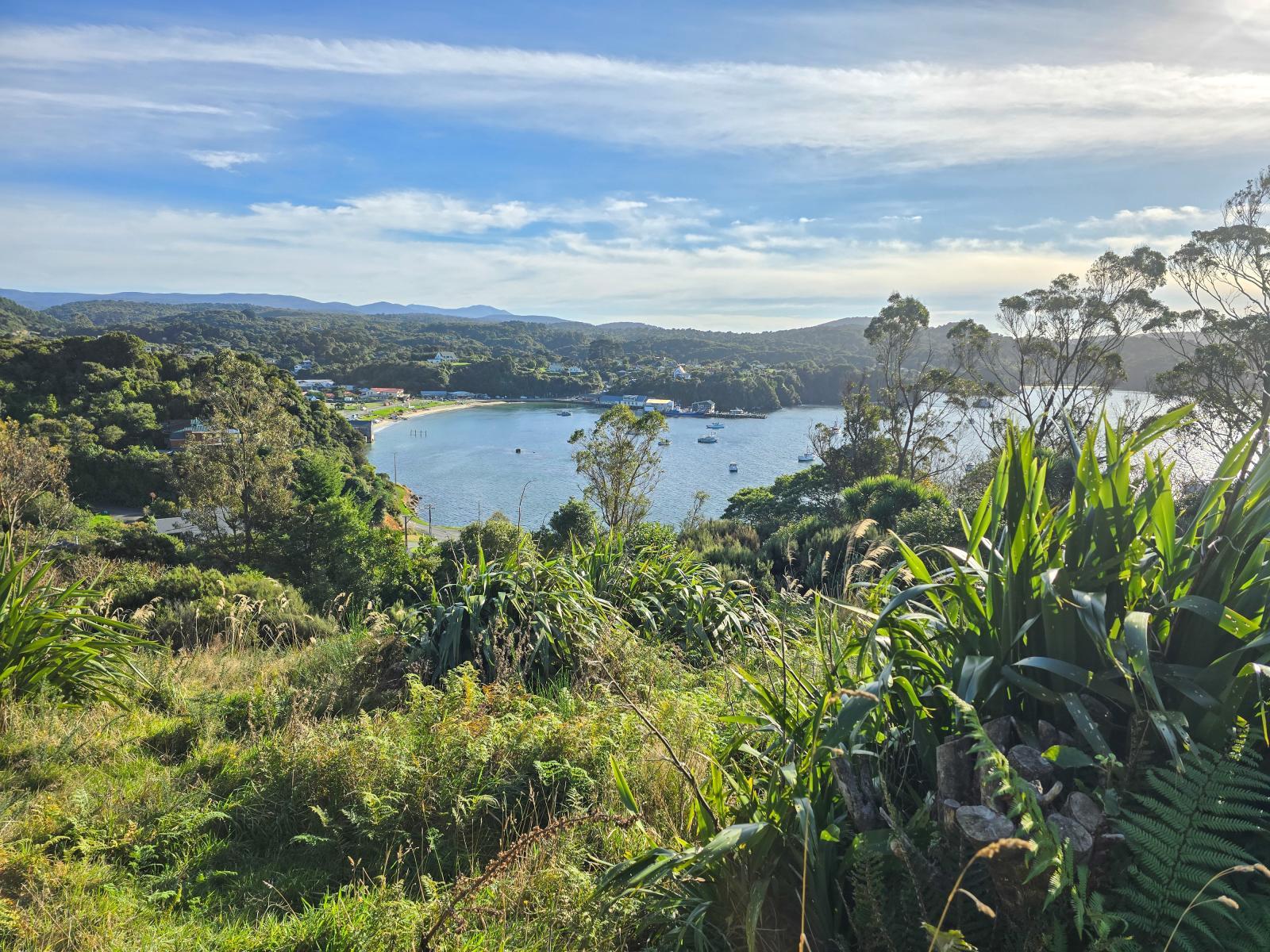 View out towards Foveaux Strait from 23 Petersons Hill Road, Stewart Island