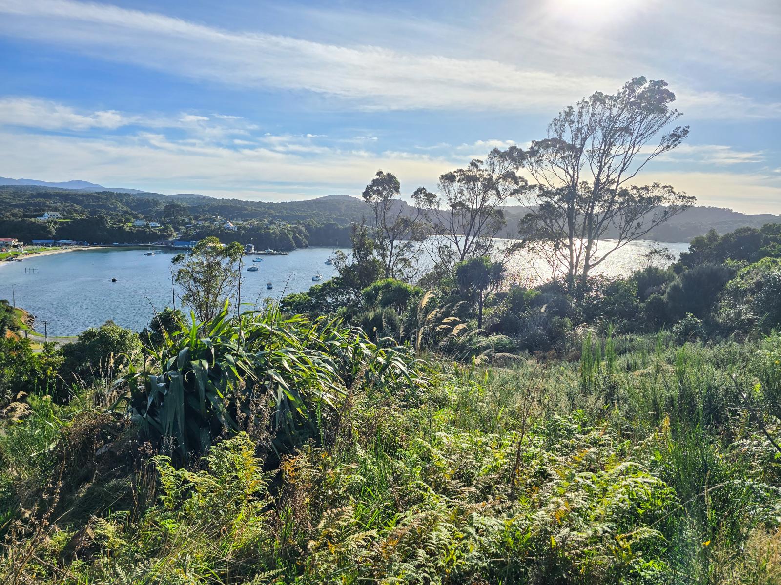 Boats moored in Halfmoon Bay below 23 Petersons Hill Road, Stewart Island