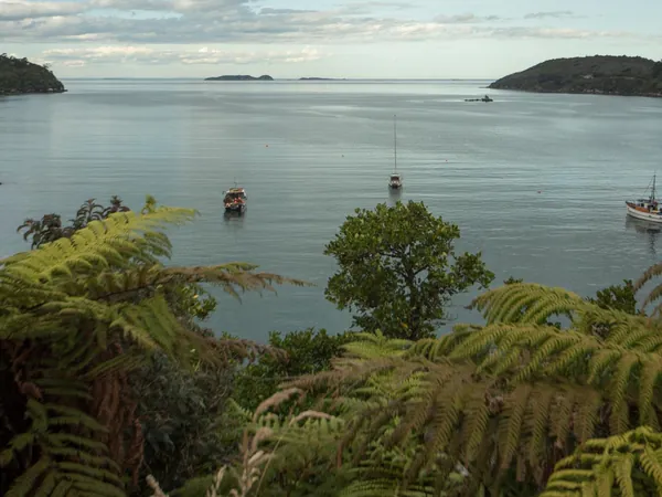 36 Kamahi Road, Stewart Island - photo 20
