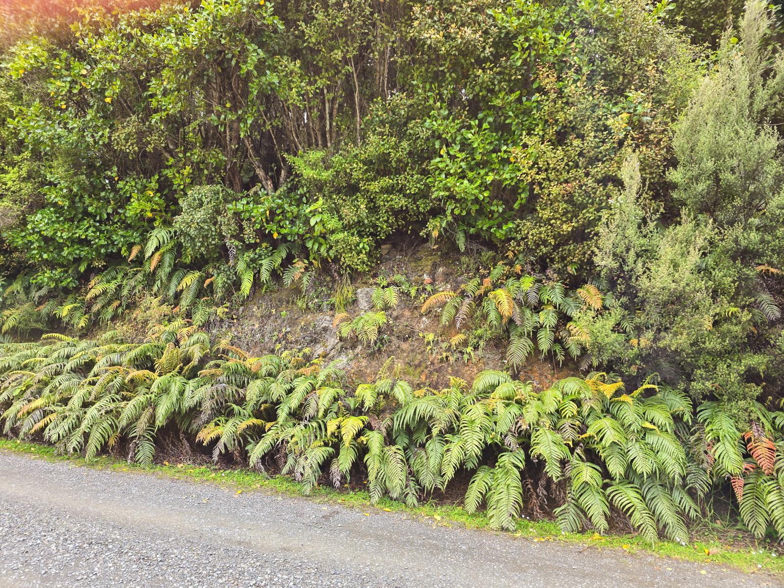 Street boundary of 7 Rata Street, within walking distance of the Oban township